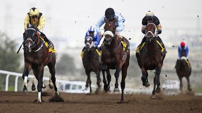 As has been the case in recent years, the Jebel ALi Racecourse will officially start the UAE horse racing season on Friday. Lee Hoagland / The National