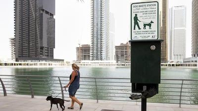Readers protest against a new order banning dogs from public areas in Dubai Marina. Photo: Jaime Puebla / The National