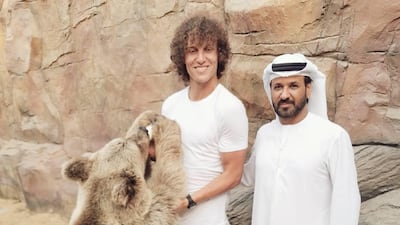 CENTRE-BACK: Chelsea's David Luiz visited the Belhasa farm in June. He is a sensible choice for Van Dijk's partner at the back. The other option was Newcastle's Florian Lejeune and a retired Eric Abidal.