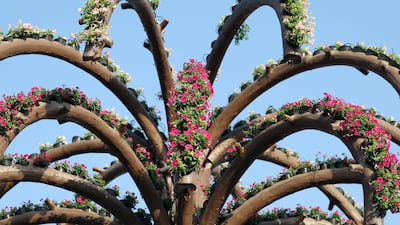 Millions of flowers make up blooming attractions at the Al Barsha South site