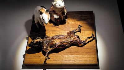 Cuy from Peru: (pronounced kwee) the guinea pig is cooked whole - teeth in tact - and doused in salt and garlic. Photo by Anja Barte Telin 