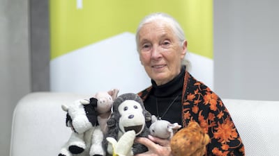 Dr Jane Goodall, the London-born anthropologist who sought greater understanding of chimpanzees and other primates, has died at the age of 91. Reem Mohammed/The National