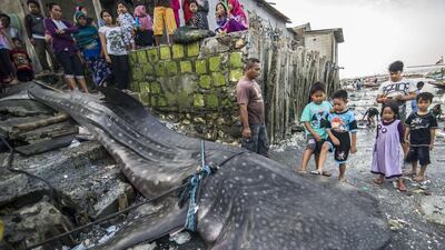 People gather around the carcass of a whale shark, caught by fishermen off Surabaya, East Java island in Indonesia. Juni Kriswanto / AFP Photo