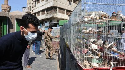 An Iraqi man wearing a protective mask looks at birds displayed for sale in a cage at Baghdad's Al-Ghazel bird market. AFP