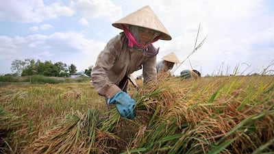 A reader says Khmers in Cambodia are being squeezed by the forces of the global economy. Uong Thai Linh / EPA