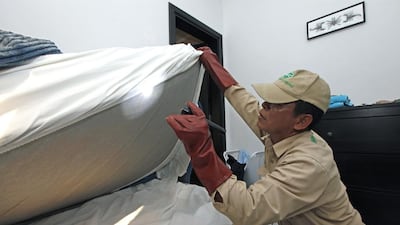 Arnel Rendon, a technician with National Pest Control, inspects a bed for possible bugs. Jeffrey E Biteng / The National