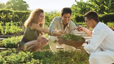 Courtesy Health and Fitness Travel