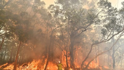 This photo taken on December 10, 2019 shows a firefighter conducting back-burning measures to secure residential areas from encroaching bushfires in the Central Coast, some 90-110 kilometres north of Sydney. AFP