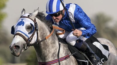 AF Mahshoum is the highest-rated of the horses set to represent the UAE in the Gulf Cup. Erika Rasmussen for The National