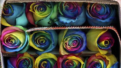 Colombian roses are selected for a bouquet ahead of Valentine’s Day in Subachoque. John Vizcaino / Reuters