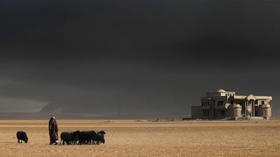 An Iraqi shepherd watches over his flock of sheep, their fleece blackened by smoke from burning oil wells set ablaze by ISIL before retreating towards Mosul, as they graze near the town of Qayyarah. AFP