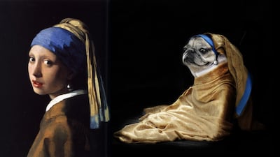 One pug. Some fabric. One earring,' in lieu of a human model, Twitter user @rmrphoto turns to his pet pug Dotty to recreate Johannes Vermeer's 'Girl with a Pearl Earring'. Via @rmrphoto / Twitter