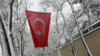 A woman walks under snow-covered trees during a snowfall in Istanbul. Murad Sezer / Reuters