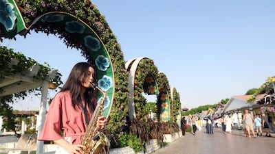 Visitors could marvel at more than 50 displays last season