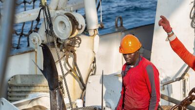 Episode 5, Humans: the Sea Shepherd crew joins forces with Gabonese marines for a patrol in search of illegal fishing activity off the coast of Gabon in Africa. Photo: Tamara Stubbs / Silverback Films 2019