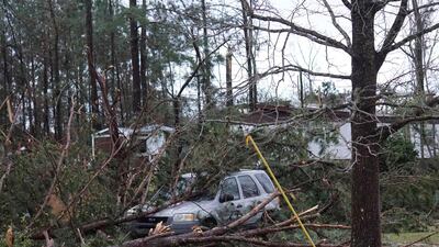 A vehicle is caught under downed trees in Beauregard, Alabama. AP Photo