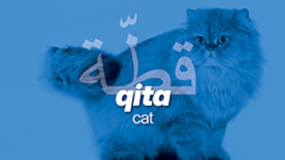 The Arabic word for cat is qita. The National
