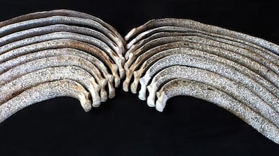 Bone Book by Helen Teede. (Courtesy: Helen Teede and Showcase Gallery)