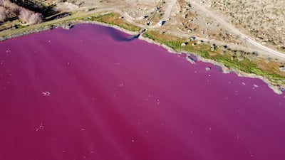 An aerial view of a lagoon in Argentina that has turned bright pink