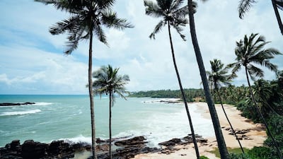 The Anantara Peace Haven Tangalle Resort overlooks a palm tree-framed beach. Courtesy Anantara Hotels, Resorts & Spas