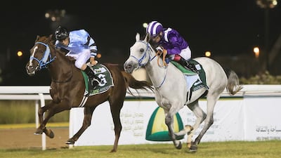 The Sheikh Mansour Festival has become a banner under which Purebred Arabian horses have started to flourish in Europe and North America. Ravindranath K / The National