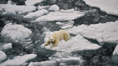 A new UN-backed report has revealed the scale of the threat to humanity and warns that the chance for a sustainable future is rapidly disappearing. AFP