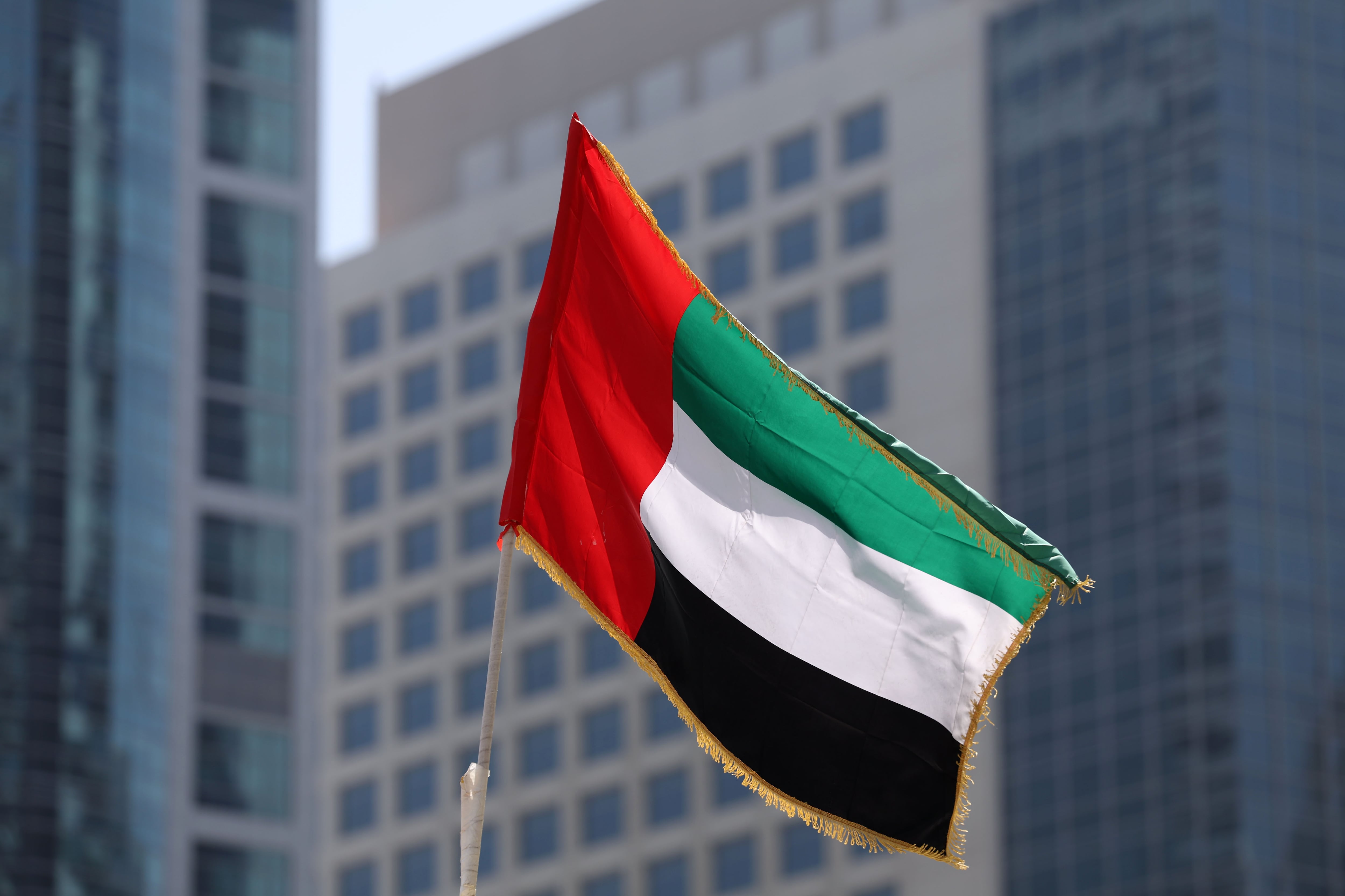 'Raise it high': Sheikh Mohammed calls on UAE public to celebrate Flag Day