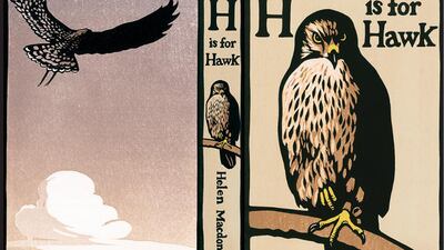 The prose is demotic making it as once singular and lively.