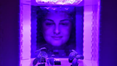 A woman watches plants grown using personal computers monitors during a press view of 'Food: Bigger than the Plate' at the Victoria and Albert Museum in London, Britain. EPA