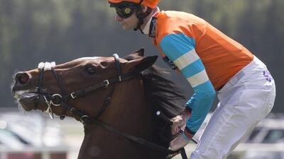 Cunco shown prior to running The Welcome to The Starlight Raceday Maiden Stakes at Newbury Racecourse on Friday. Julian Herbert / Getty Images / May 13, 2016