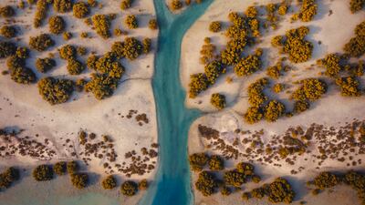 Highly Commended, Mangroves & Landscape, Amar Habeeb, UAE. Photo: Amar Habeeb / Mangrove Photography Awards