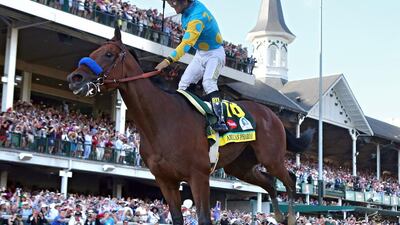 American Pharoah is in good form after winning the Kentucky Derby at Churchill Downs on May 2. Rob Carr / Getty Images