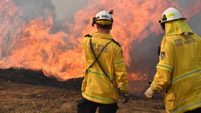 New South Wales Rural Fire Service firefighters back burning and fighting fires on Long Gully Road in the northern New South Wales town of Drake, Australia. EPA