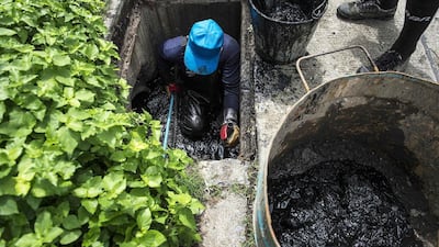 A prisoner enters a drain on the outskirts of Bangkok to clear it of sewage and plastic waste. Lillian Suwanrumpha / AFP