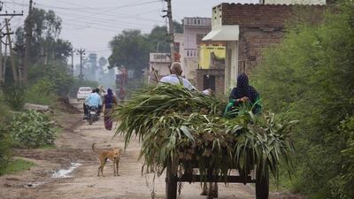 A man drives his cart with a woman sat at the rear in the village of Sorkhi. Married women are told to cover their faces in Sorkhi which is one of the adjustments women from the south have had to get used to.