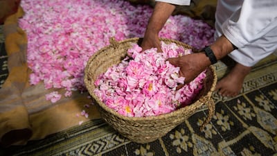 Once the roses are picked they are taken to the distillation factories to process the flowers into fragrant water or oils using traditional and modern methods.