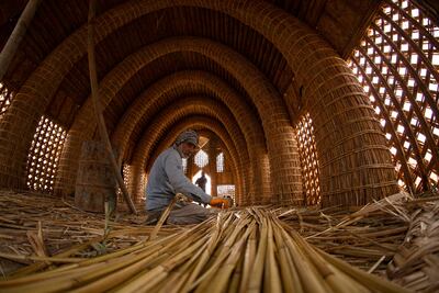 An Iraqi craftsman prepares reeds during the building of a traditional guest house or mudhif, in front of the museum of the southern city of Basra. AFP