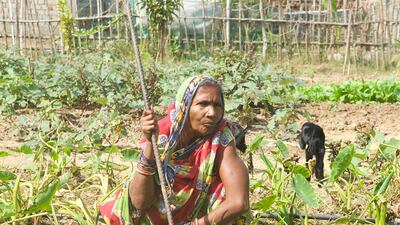 Manjulata Bijourli, in her 60s, lives with her husband in a thatched house in the colony. Her two young sons work in neighbouring Kerala state