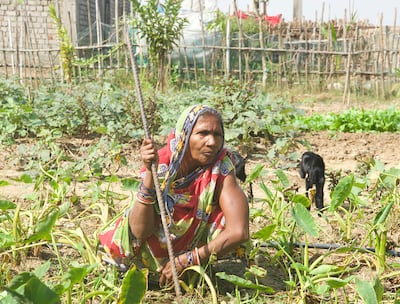 Manjulata Bijourli has lived in Bagapatia, Odisha state, since her village of Satabhaya was submerged amid rising sea levels. Taniya Dutta / The National