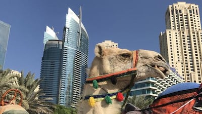 Courtesy Green Parking