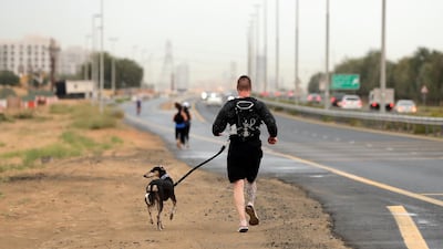 A man walks his dog in the rain near Town Square, Dubai. Chris Whiteoak / The National