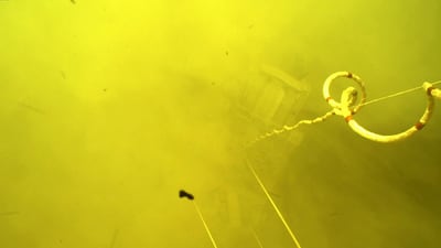 Martian dust swirls up as Nasa's Perseverance rover descends to the surface of the Red Planet. The mission aims to be the first to collect and cache Martian rock and regolith. Nasa / JPL-Caltech / EPA