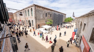 An artist-led collective has called for a boycott if Israel's pavilion is allowed to appear at the 2026 Venice Biennale. Photo: Andrea Avezzu / La Biennale di Venezia