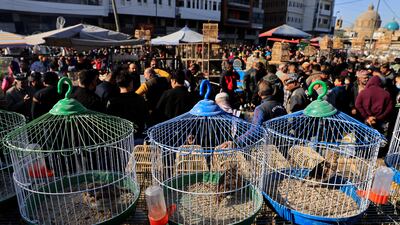 Birds in cages are put on display at Al Ghazal animal market in Baghdad, Iraq. All photos by Reuters