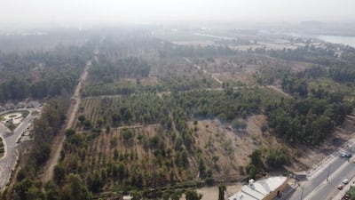 An aerial shot of the Forest of Mosul. Photo: Gardens and Forestry Department of the Municipality of Mosul