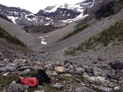 Even in places where there's not an abundance of trees, you can use nature as a means for transformation. Photo: Ronna Schneberger
