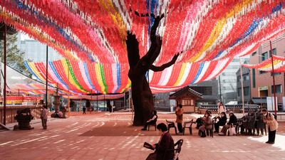 A woman reads a book under lanterns at the Jogyesa Temple in Seoul, South Korea, ahead of the Lotus Lantern Festival in May, which celebrates Buddha's birthday. AFP
