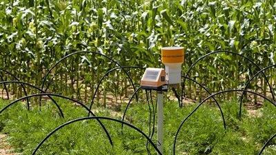 This sensor on a farm in the Western Region regulates the amount of water needed to grow crops such as carrots and corn.