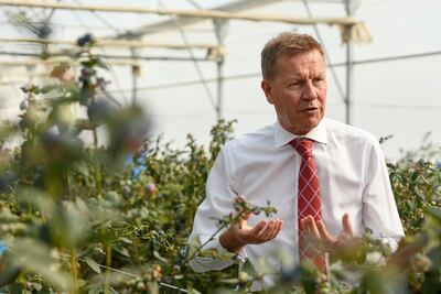 Ian Summerfield, chief executive of Elite Agro, at Al Foah Farm in Al Ain. Khushnum Bhandari / The National