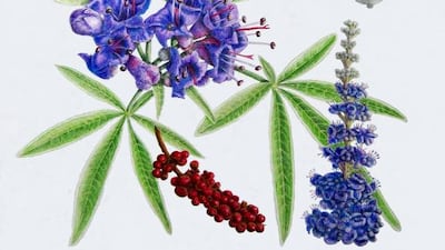 Illustration by Kathleen Konicek-Moran